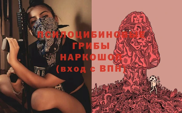 дурь Аркадак