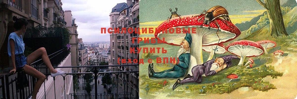 дурь Аркадак