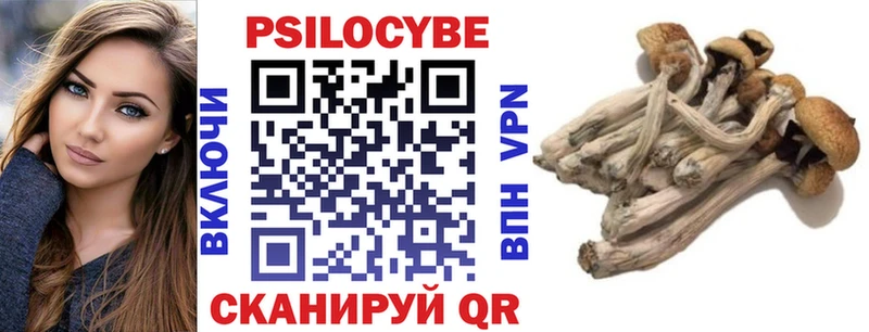 Галлюциногенные грибы Psilocybe  как найти наркотики  Опочка 